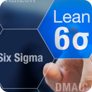 Lean Six Sigma Trainer Logo